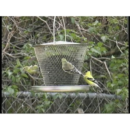 No No Feeder Nonoud00314 Tray Mesh Bird Feeder Walmart Canada