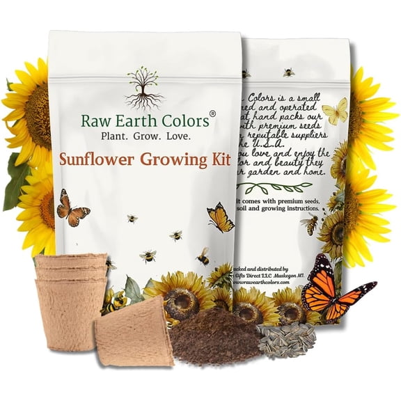 Sunflower grow kit with sunspot dwarf sunflower seeds for planting.