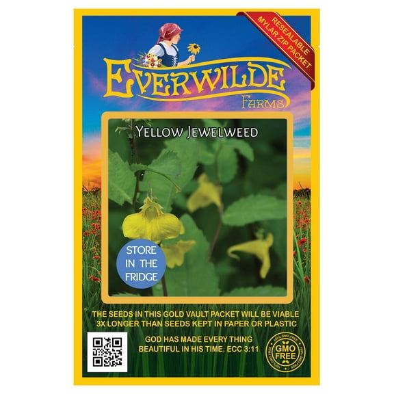 Everwilde Farms - 5 Yellow Jewelweed Native Wildflower Seeds - Gold Vault Seed Packet