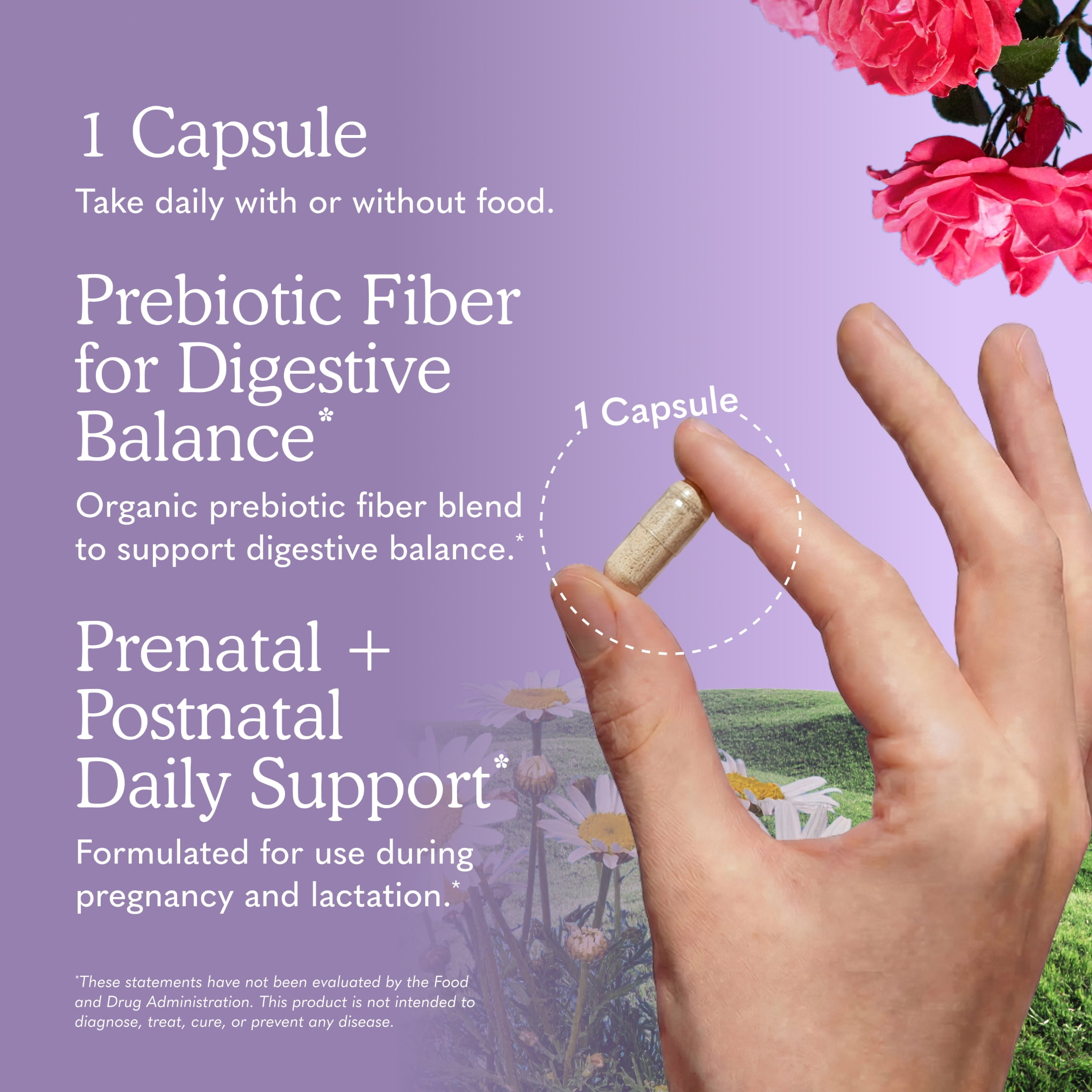 Garden of Life Dr. Formulated Probiotics Once Daily Prenatal