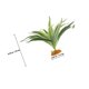 thumbnail image 5 of AURARMLET Accesorio Decorativo De Planta Sintética Para Terrarios Ideal Para Con Reptiles Y, 5 of 6