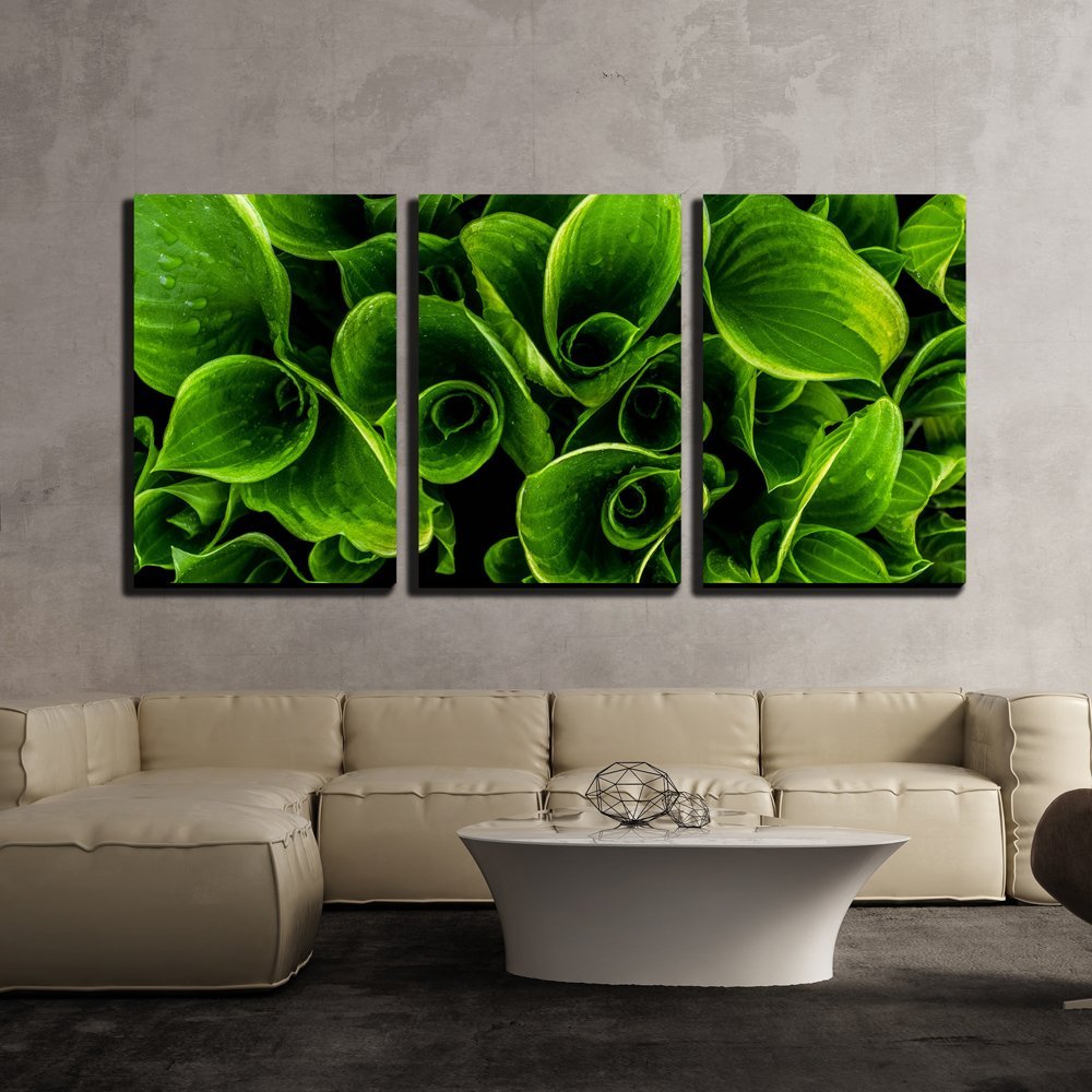 Wall26 3 Piece Canvas Wall Art Green Leaves with Waterdrops Modern