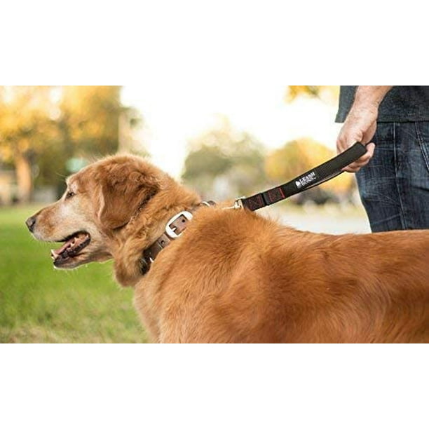 12 inch dog leash sales