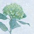 thumbnail image 2 of Grove, Beth 12x12 White Modern Wood Framed Museum Art Print Titled - Blue Hydrangea I, 2 of 4