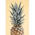 thumbnail image 2 of 1x Studio III 23x32 Gold Ornate Wood Framed with Double Matting Museum Art Print Titled - Pineapple Yellow 02, 2 of 4