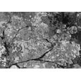 thumbnail image 1 of Ahgly Company Indoor Rectangle Oriental Gray Industrial Area Rugs, 5' x 8', 1 of 4