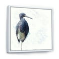 thumbnail image 3 of Designart 'Tricolored Heron Bird On White' Farmhouse Framed Canvas Wall Art Print, 3 of 5