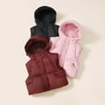 thumbnail image 3 of Tiijoy Toddler Boys Puffer Hooded Vest Winter Warm Sleeveless Zip Up Coat, Sizes 1-2, 3 of 4
