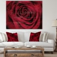 thumbnail image 4 of Design Art - Red Rose Petals with Rain Droplets, 4 of 5