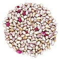 thumbnail image 3 of Organic Cranberry Beans, 1 Pound — Non-GMO, Sproutable, Kosher, Raw, Vegan — by Food to Live, 3 of 7