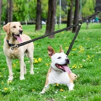 2 Dog Leash, 360° Swivel No Tangle Double Dog Walking & Training Leash, Comfortable Shock Absorbing Reflective Bungee Lead Walk 2 Dogs with Ease