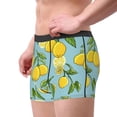 thumbnail image 2 of Xecao Lemon Print Men's Underwear Boxer Briefs Pack - Your ComfortSoft, Moisture-Wicking, and Breathable Choice for Men's Underwear-Small, 2 of 5