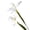 Blue White, variant on Selrti Artificial Iris Flower 2 Heads Faux Silk Long Stem for Table Centerpiece Decor