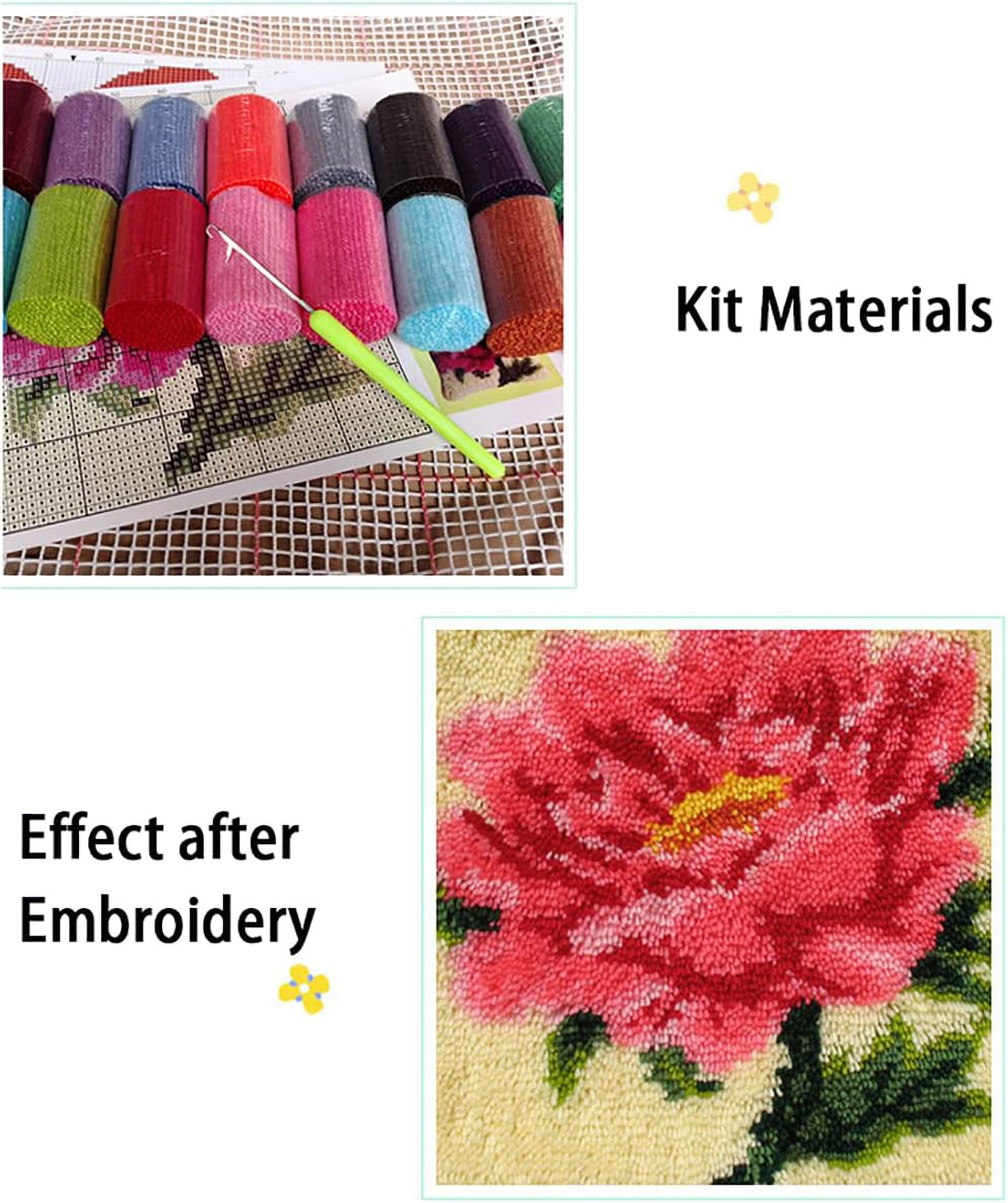 ShowNiceArt Rectangle Latch Hook Rug Kit, Large Size DIY Needlework Craft for Adults & Children, Available in 75×55cm/30*22in and 100×76cm/40*30in