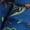 Dark Teal, variant on Mountain Warehouse Boys/Girls Seasons Watercolour Padded Jacket