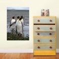 thumbnail image 1 of National Geographic Penguins Poster Decal, 1 of 2