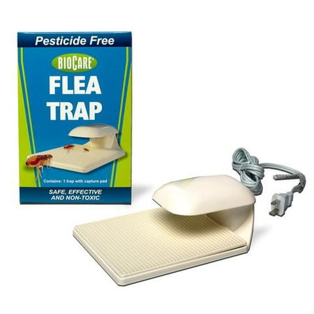 Flea Trap