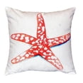 thumbnail image 2 of Coral Starfish No Cord Pillow 18x18, 2 of 3