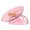 Pink, variant on Hamster Transparents Running Wheel Toy For Hamster Quiet Running Exercise Toy