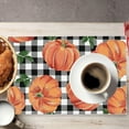 thumbnail image 7 of 100Fens Thanksgiving Pumpkin Placemats Plaid Table Decor Fall Table Mats for Holiday Kitchen Dining Room Decoration Reusable Washable, 7 of 7