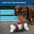 thumbnail image 3 of PetSafe Busy Buddy Bristle Bone Dog Chew Toy, Medium, 3 of 8