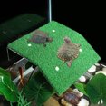 thumbnail image 1 of IFANLANDOR Turtle Terrace Basking Platform Climbing Ladder Green 1Set PP for Small Turtles, 1 of 8