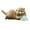Coffee4, variant on IAJFHAFS Cute Miniature Otter Figurine Resin Fairy Garden Ornament for Terrarium Tabletop Shelf Display
