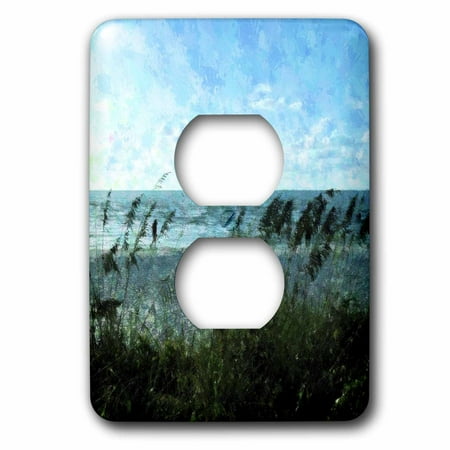 3dRose Walk On The Beach 2 Plug Outlet Cover lsp 8672 6