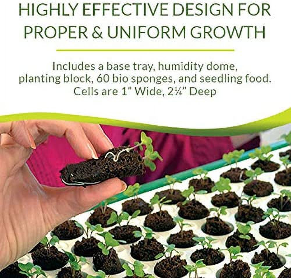 Seed Starter Kit with 60 Cell Planting Block, Base Tray, Humidity Dome & 60 Bio Sponges