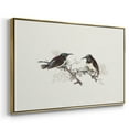 thumbnail image 3 of Vintage Animal Print-III By Wexford Home Framed in Gold Wood Gallery Wrapped Canvas 25 in. x 37 in., 3 of 7