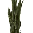 thumbnail image 3 of Nearly Natural 8309 Plante Artificielle Sansevieria 46 Po., 3 of 3