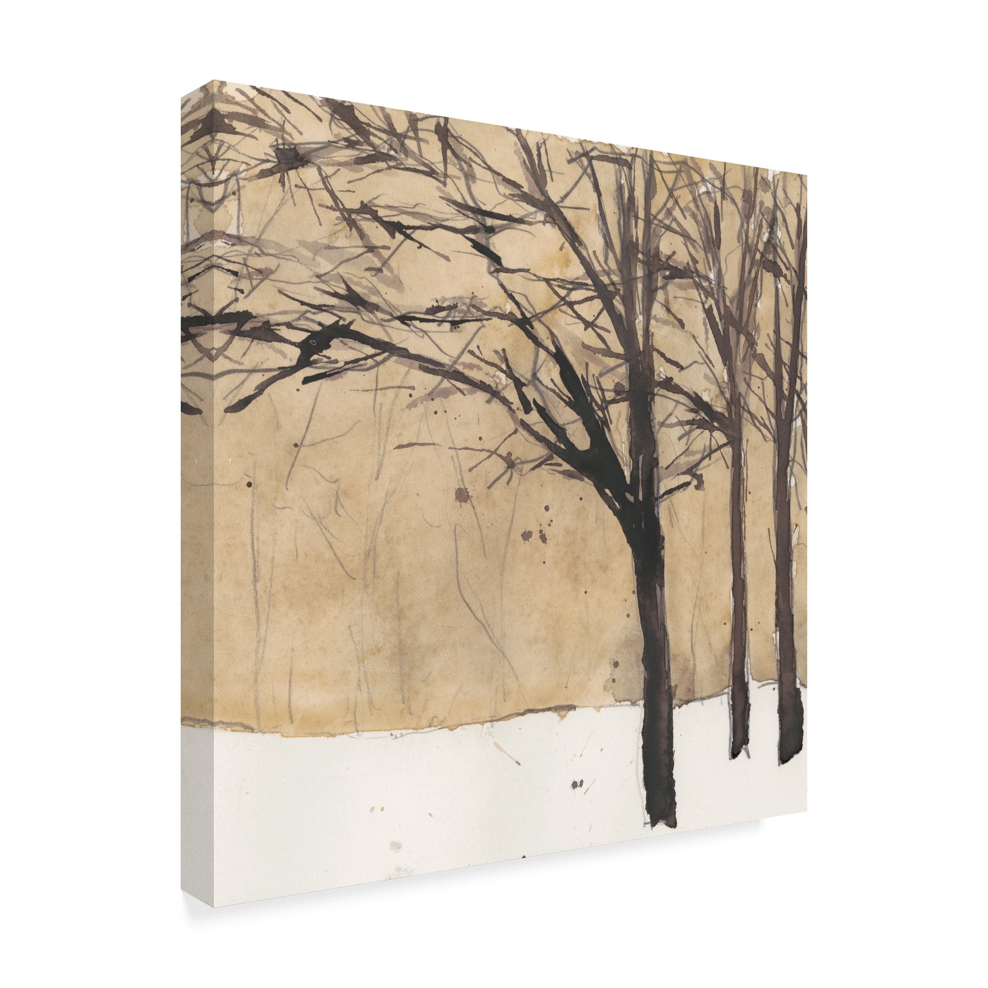 Trademark Fine Art 'Forest Sketch II' Canvas Art by Samuel Dixon