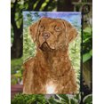 thumbnail image 3 of Carolines Treasures SS8933GF 11 x 15 In. Chesapeake Bay Retriever Flag- Garden Size, 3 of 3