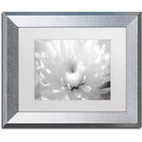 Trademark Fine Art 'Infrared Flower 2' Canvas Art by PIPA Fine Art, White Matte, Silver Frame