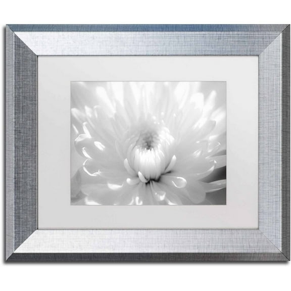 Trademark Fine Art 'Infrared Flower 2' Canvas Art by PIPA Fine Art, White Matte, Silver Frame