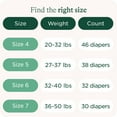 thumbnail image 6 of SmartyPants Disposable Diaper Pants - Size 7 - 30ct, 6 of 7