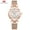 Rose Gold, variant on MINI FOCUS Top Luxury Brand Fashion Ladies Watch For Women Reloj Mujer Montre Femme Relogio Feminino Quartz Wristwatch Mesh Belt