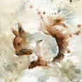 thumbnail image 2 of Robinson, Carol 12x12 White Modern Wood Framed Museum Art Print Titled - Squirrel In Spring, 2 of 4