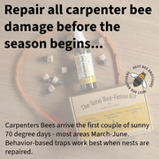 Best Bee Brothers Bee-Fense Kit for Repairing Carpenter Bee Damage, Carpenter Bee Repellent, 50 mL