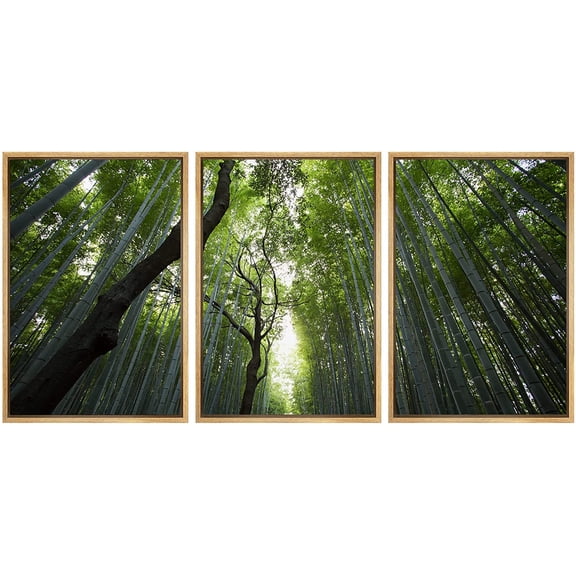 wall26 Framed Canvas Print Wall Art Set Ground View of Light Through Bamboo Forest Nature Wilderness Photography Realism Rustic Colorful Travel for Living Room, Bedroom, Office - 24"x36"x3