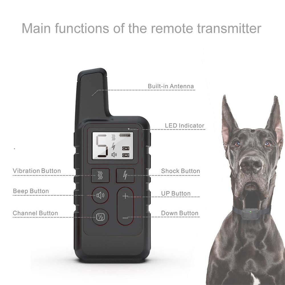 Push button shock collars for dogs sales