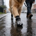 thumbnail image 5 of Surpdew Non Slip Dog Socks For Hardwood Floors,4Pack Anti-Slip Dog Grippy Socks To Prevent Licking Paws,Dogs Booties Paw Protectors With Double-Sided Traction For Small Medium Large Senior Dogs Gray, 5 of 6