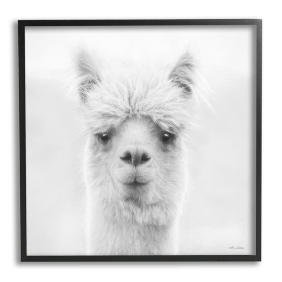 Stupell Alpaca Portrait Country Farm Animal Animals & Insects Photography Black Framed Art Print Wall Art