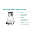 thumbnail image 2 of Nupec felino weight care 3 kg Nupec Felino Weight care 3 kg, 2 of 2