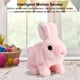 thumbnail image 3 of Juguete Conejo Peluche Lujoso Realistic Pascua Regalos para (), 3 of 9