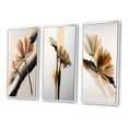 thumbnail image 3 of Designart "Hyperrealistic Gerbera Blossoms I" Floral Daisy Framed Wall Art Set Of 3 - White Gerbera Frame Gallery Set For Office Decor, 3 of 6