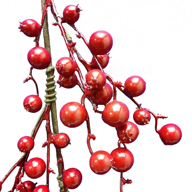 6ft. Red Berry Garland by Ashland®