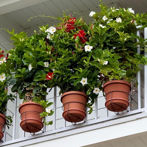 Railscapes Bloem Floating Railing Planter Clip | 3-Pack