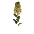 thumbnail image 1 of Vickerman FM228104 35.5 in. Cone Hydrangea Spray, Light Green - 2 per Bag, 1 of 1