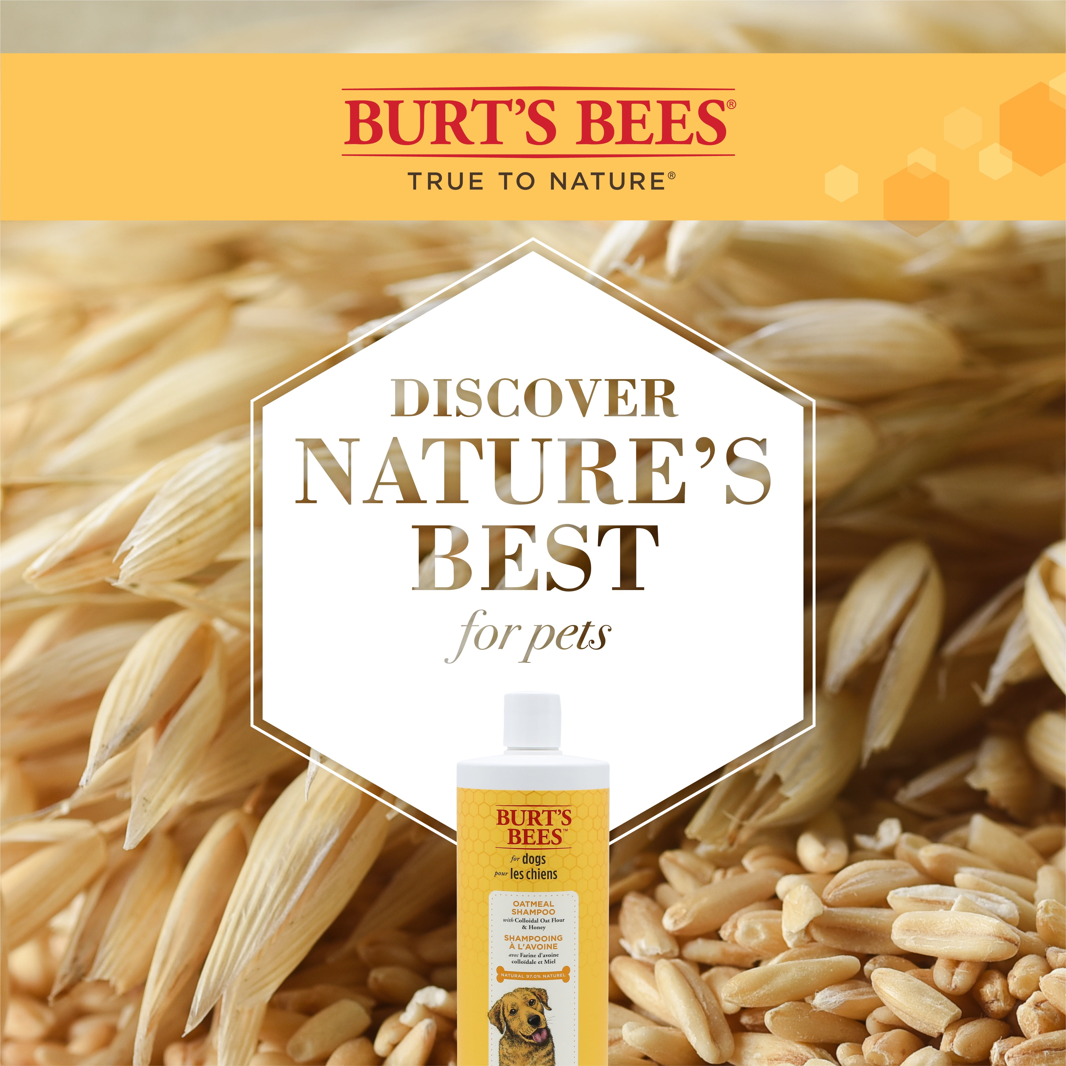 Burt's Bees Natural Hypoallergenic Shampoo Shea and Butter Honey for Dogs and Puppies
